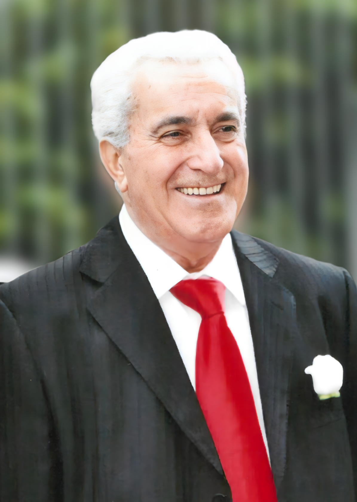 TITO GIRASOLE
